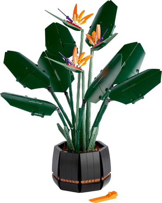LEGO Icons 10289 Strelicja królewska – botaniczna elegancja w Twoim domu