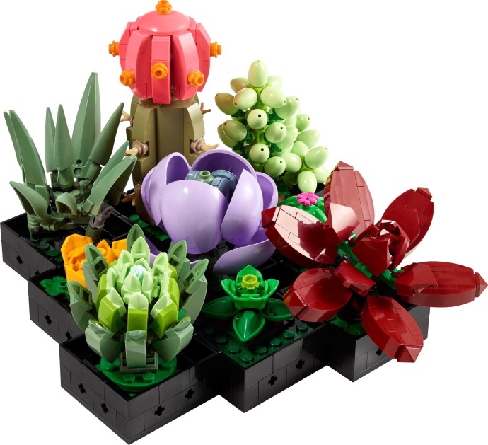 LEGO Icons 10309 Sukulenty – botaniczna elegancja w Twoim domu