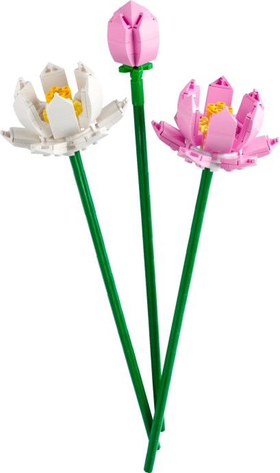 LEGO Icons 40647 Kwiaty lotosu – elegancja w klockowym wydaniu