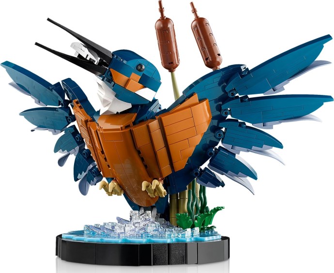 Ptak Kingfisher