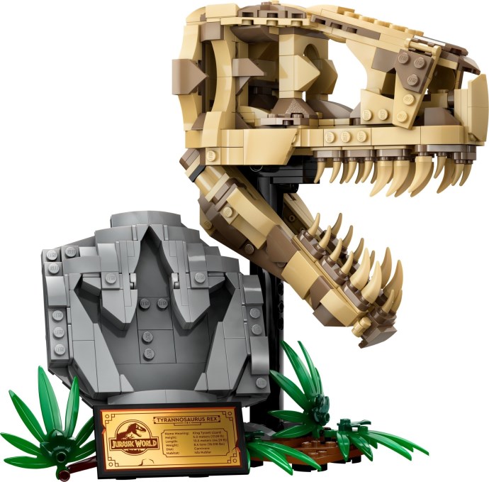 Skamieliny dinozaurów: czaszka T-rexa
